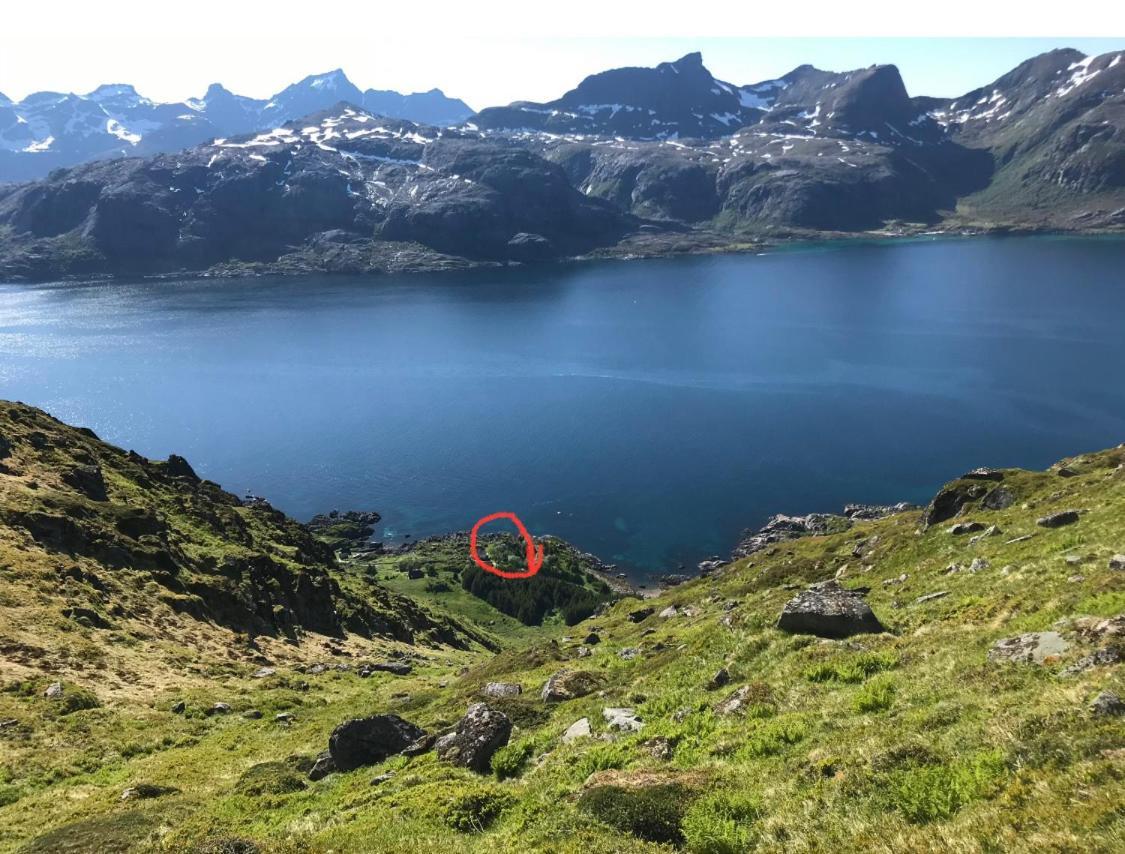 Vettinghytta, Close To The Sea With Amazing View. Gravdal  Bagian luar foto