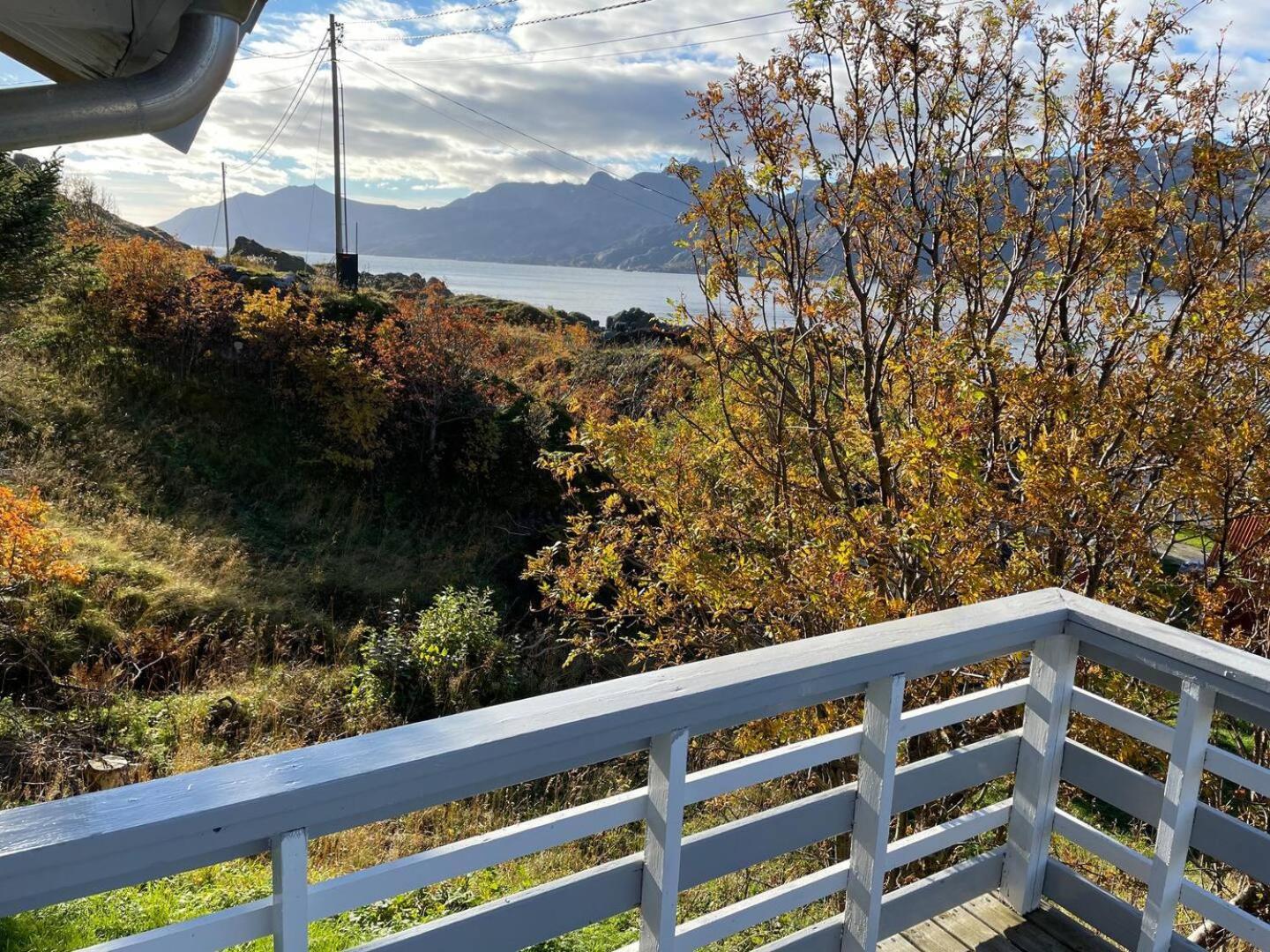 Vettinghytta, Close To The Sea With Amazing View. Gravdal  Bagian luar foto