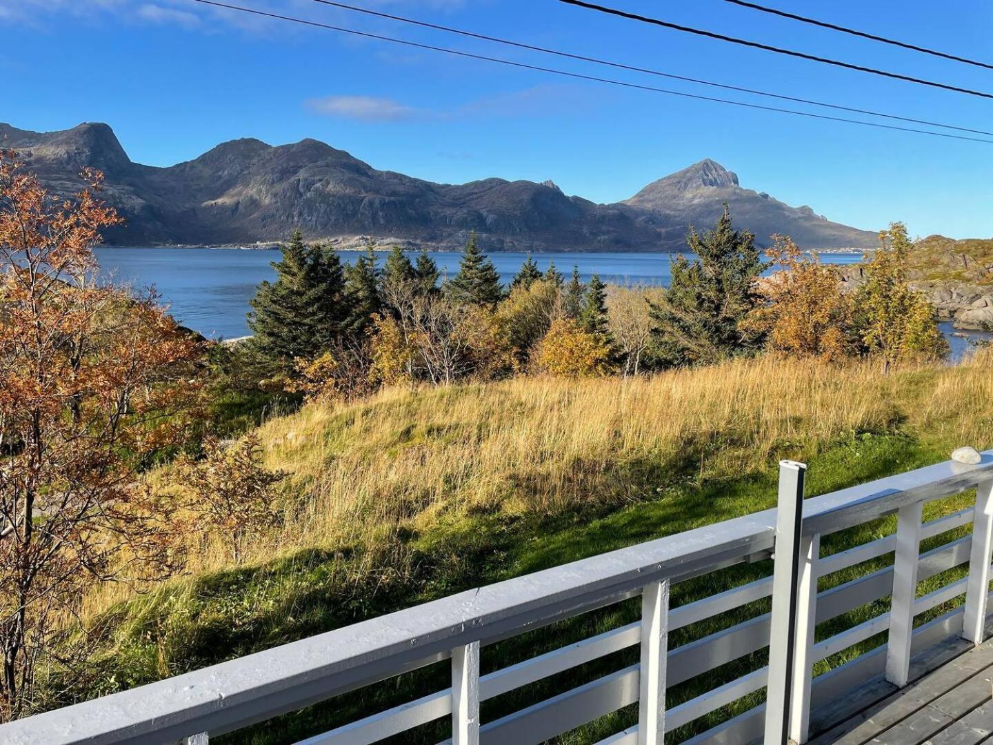Vettinghytta, Close To The Sea With Amazing View. Gravdal  Bagian luar foto