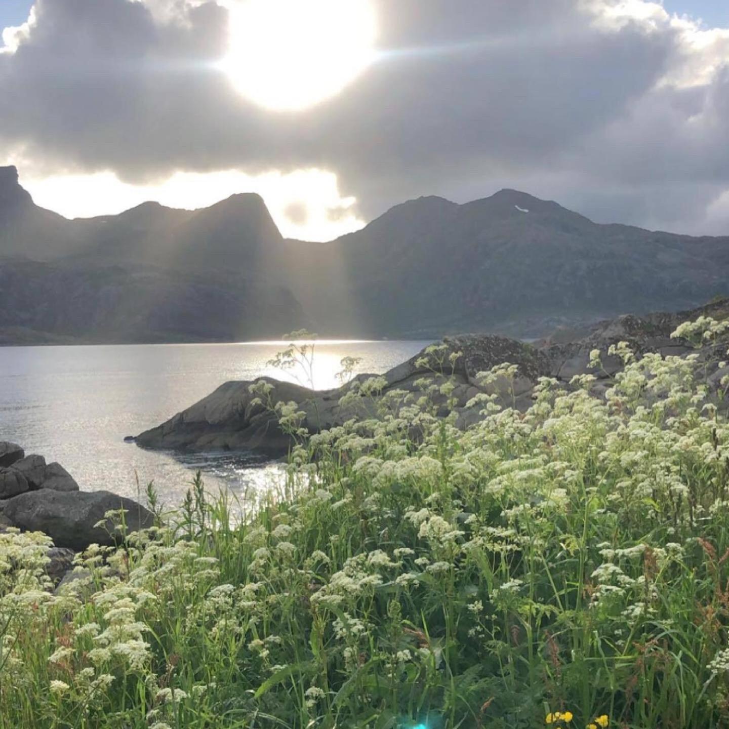 Vettinghytta, Close To The Sea With Amazing View. Gravdal  Bagian luar foto